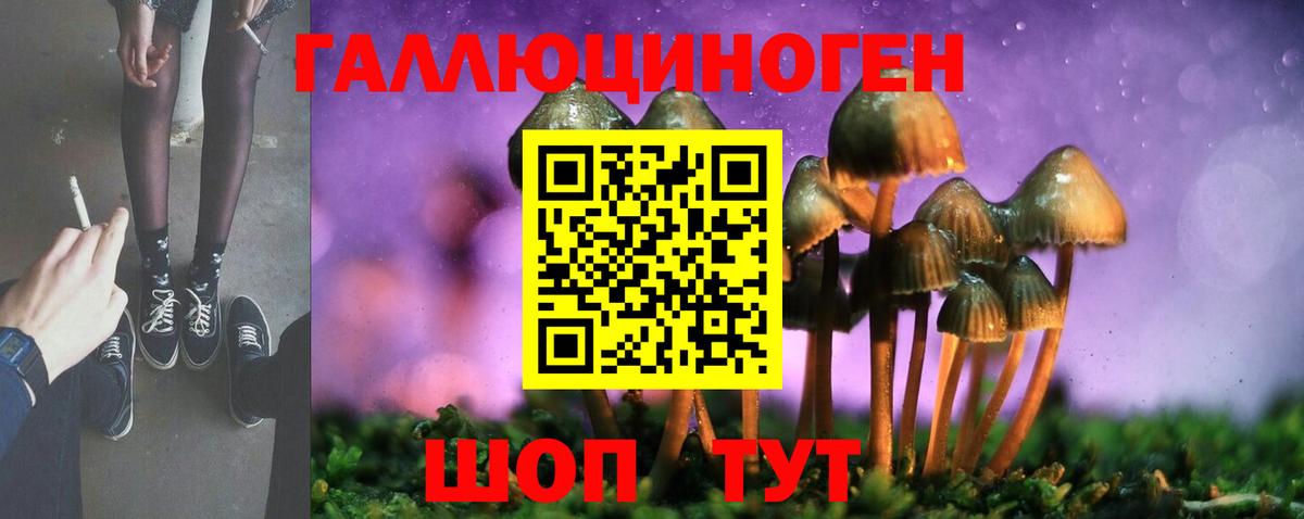 Псилоцибиновые грибы GOLDEN TEACHER  Вход с VPN  Псилоцибиновые грибы Psilocybe  Джанкой 